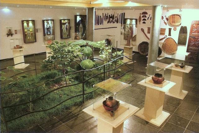 Conheça museus de Manaus que estão fora do circuito turístico tradicional