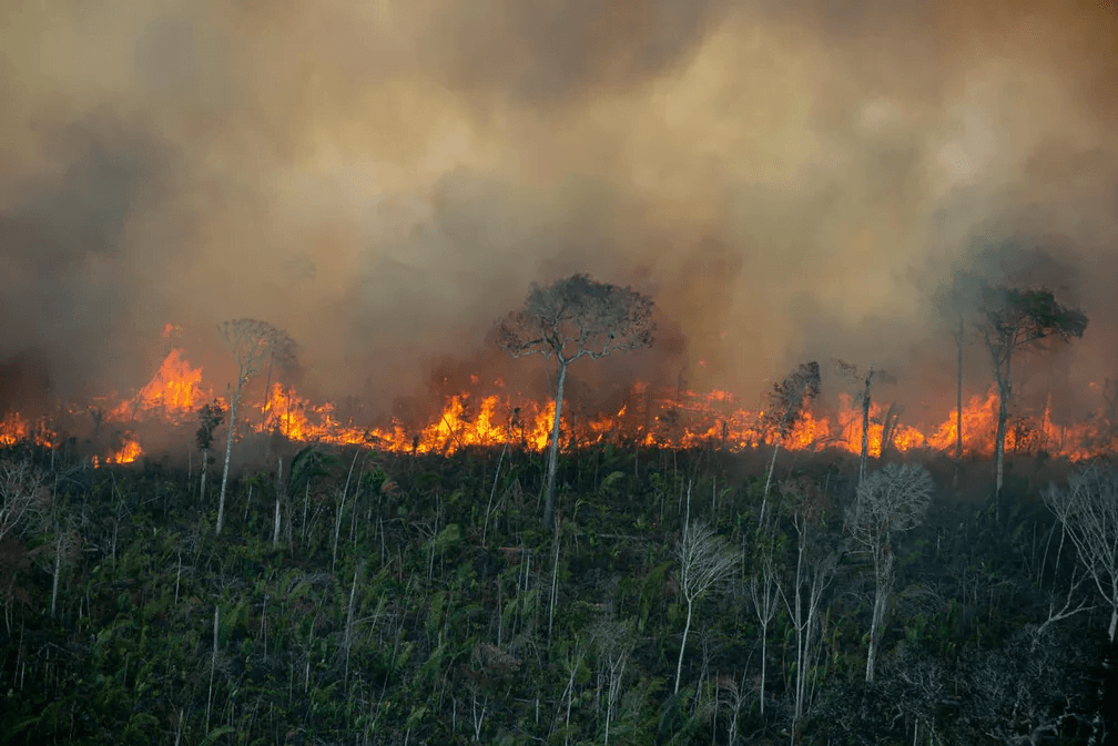 Brasil registrou 2,7 mil focos de incêndios nas últimas 24 horas; Amazônia lidera números