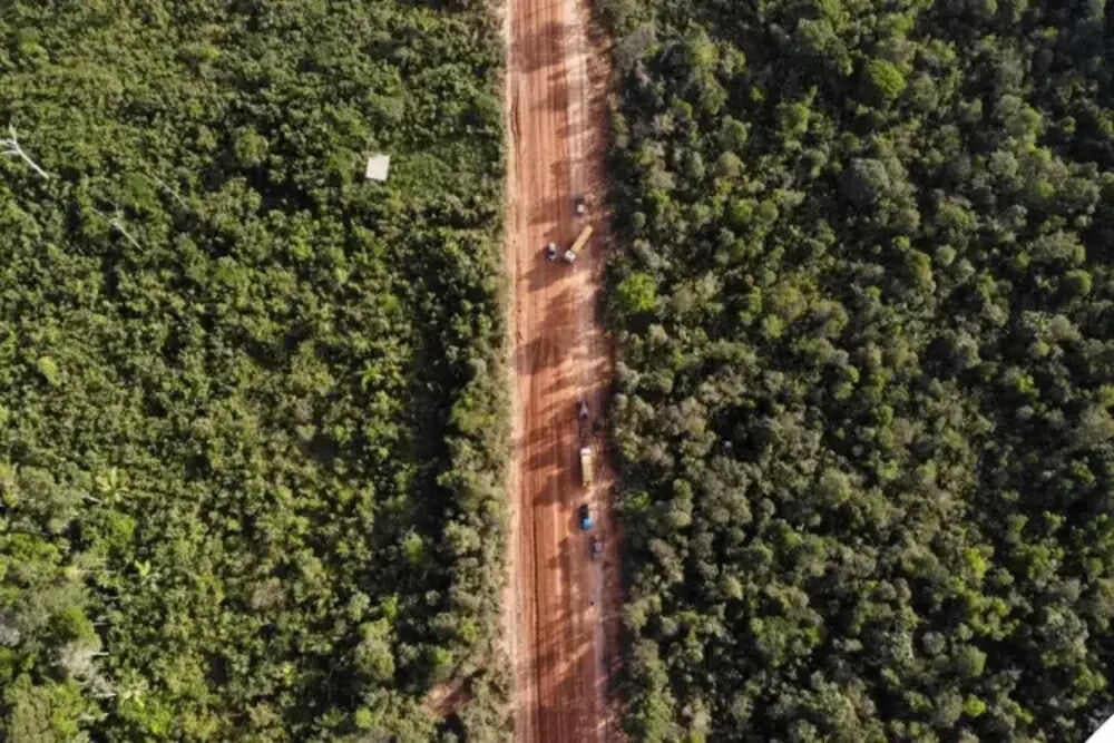 Ipaam libera reconstrução do &#8220;trecho do meio&#8221; da BR-319