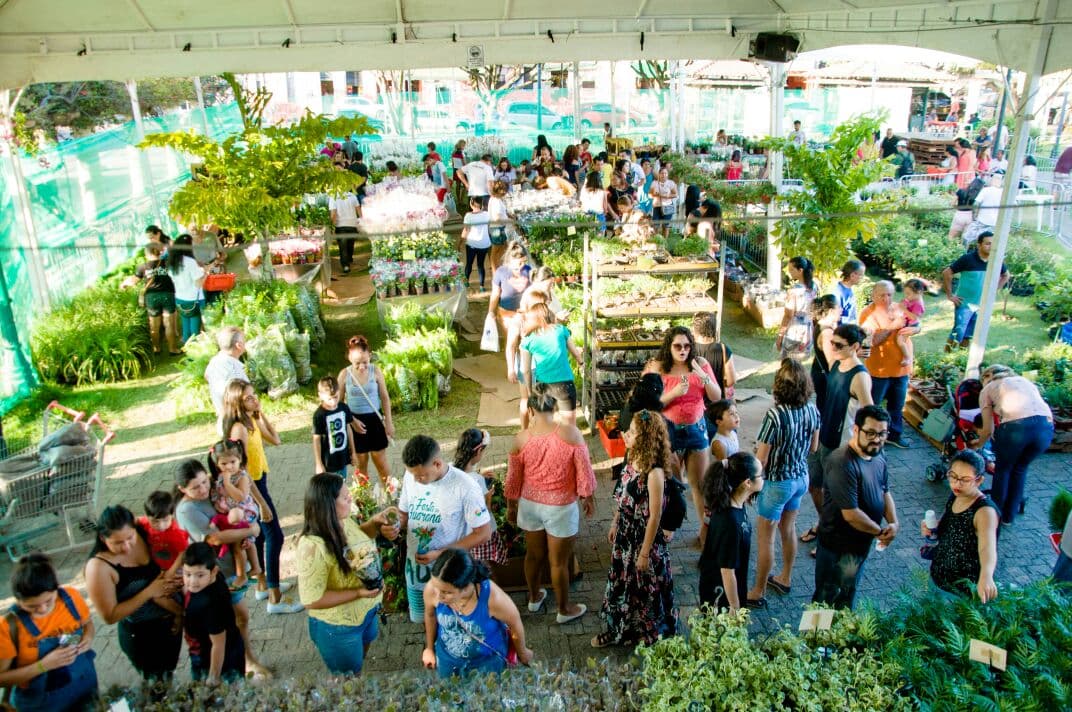 Feira de Flores de Holambra volta ao calendário de eventos de Manaus