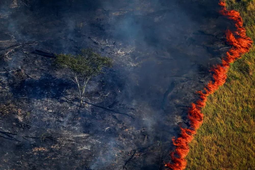 Inpe registra índice histórico de queimadas na Amazônia em setembro