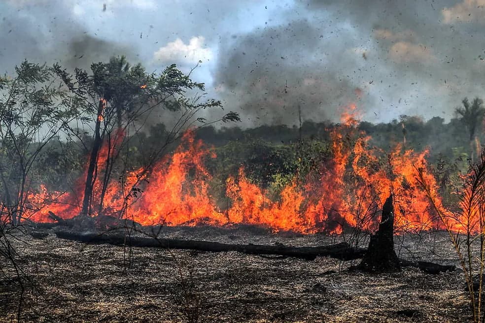 Amazonas registra mais de 2 mil focos de queimadas só nos primeiros dias de setembro