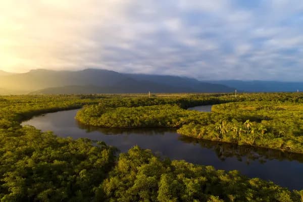 Detalhes gigantescos do rio que dá nome ao maior Estado brasileiro
