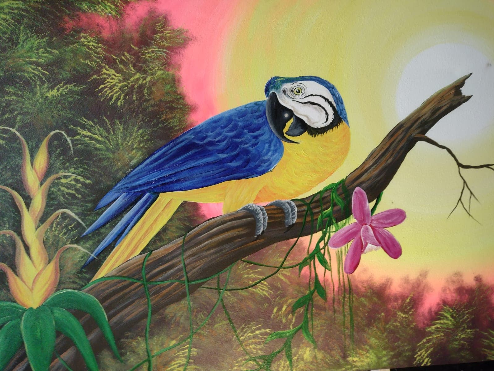 Exposição &#8220;Manaus em Telas&#8221; é realizada até esta terça-feira (25)