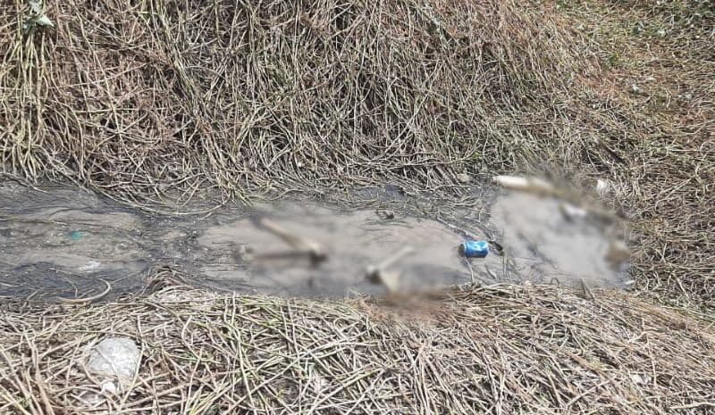 Ossada humana é encontrada no bairro Presidente Vargas