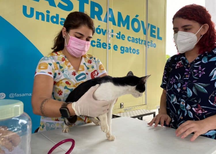 Unidade Móvel realiza castração de cães e gatos; saiba como agendar