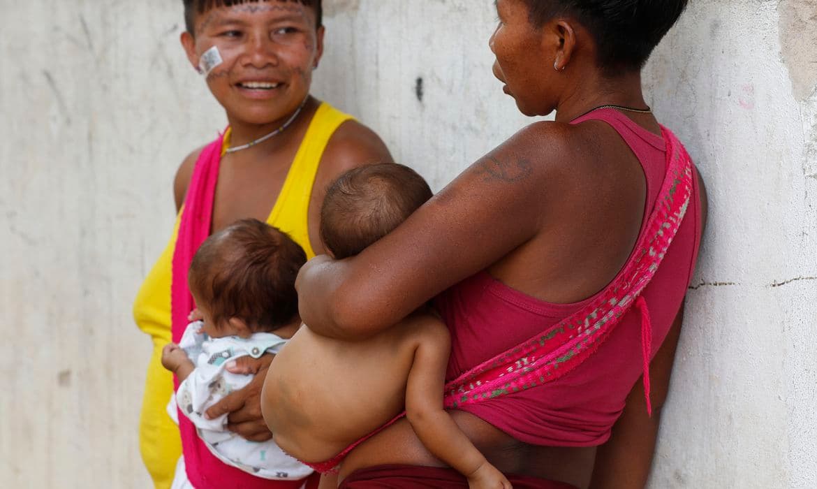 Yanomami: comissão do Senado elabora plano de trabalho na terça (7)