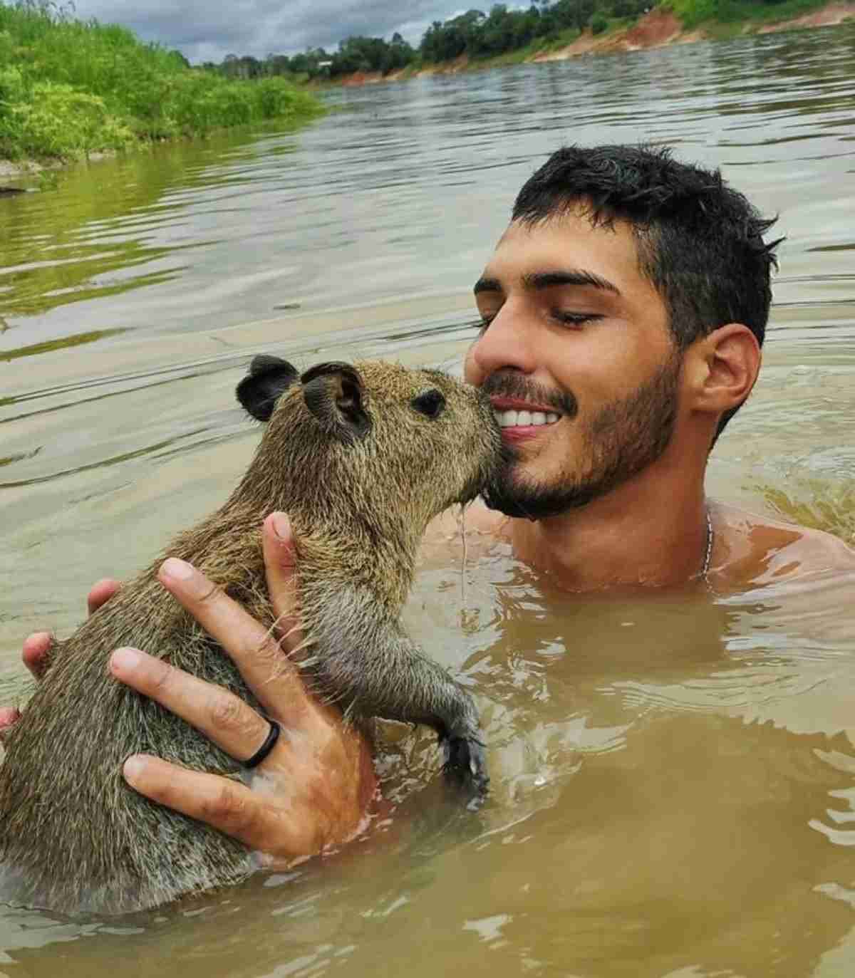 Capivara Filó é entregue ao Ibama
