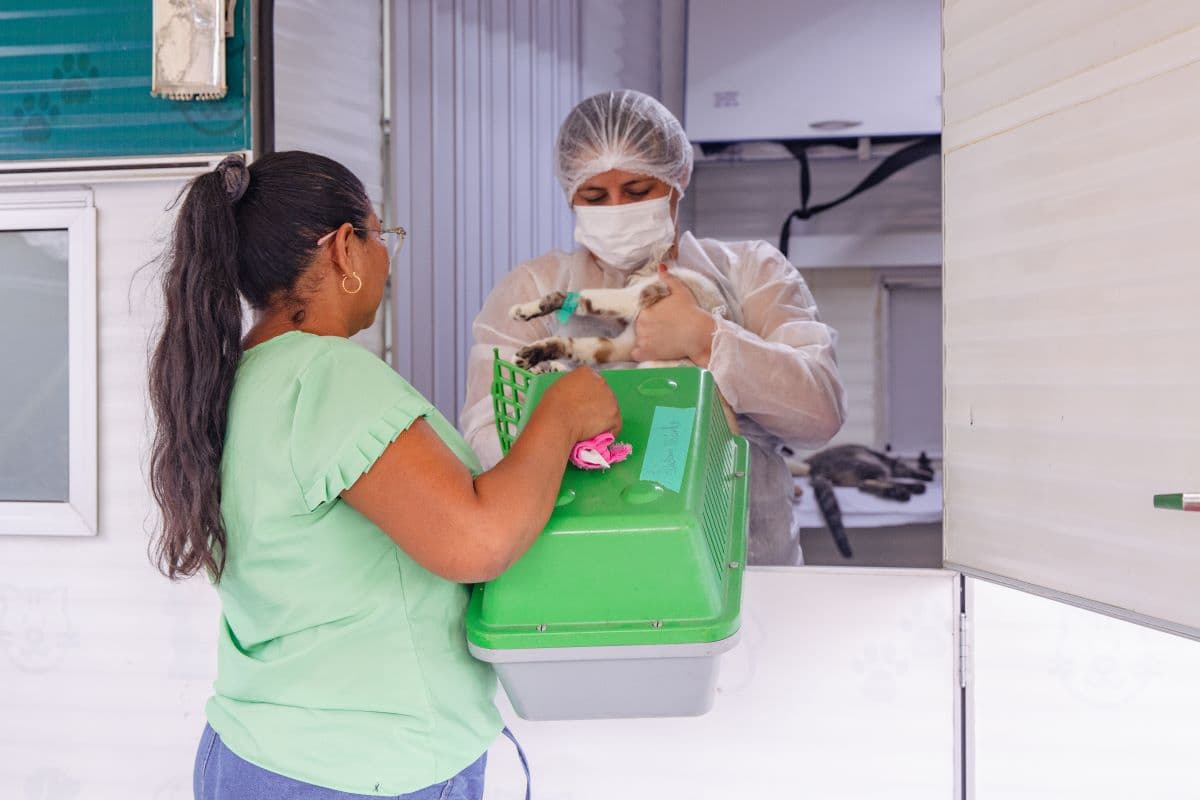 Unidade Móvel oferta vacinação antirrábica na zona Sul da capital. Confira local