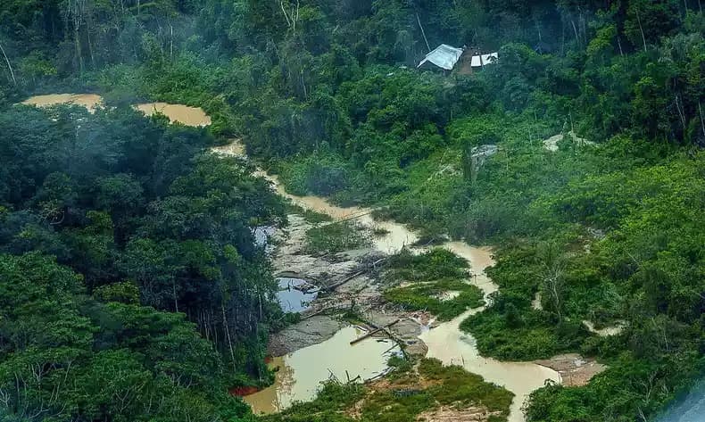 Oito corpos são encontrados na Terra Indígena Yanomami