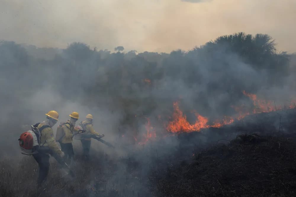 Monitoramento por satélite mostra que 99% dos incêndios no país são por ação humana