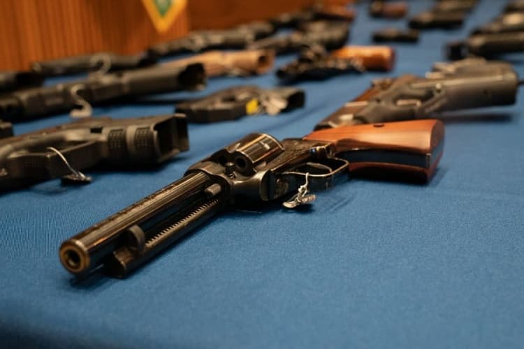 Estudo revela predominância de discursos pró-armas no Congresso desde 2015