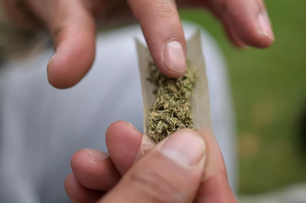 Uso de maconha continua ilegal, mas deixa de ser crime; entenda o que muda com a decisão do STF