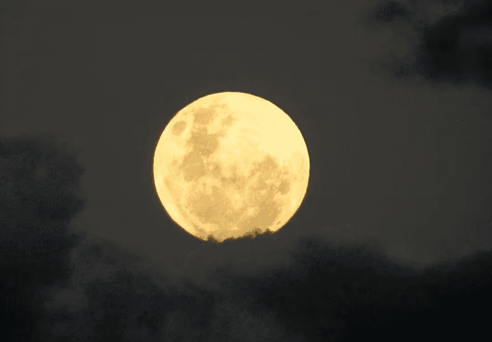 Superlua poderá ser vista em todo o Brasil nesta terça-feira (1º) 