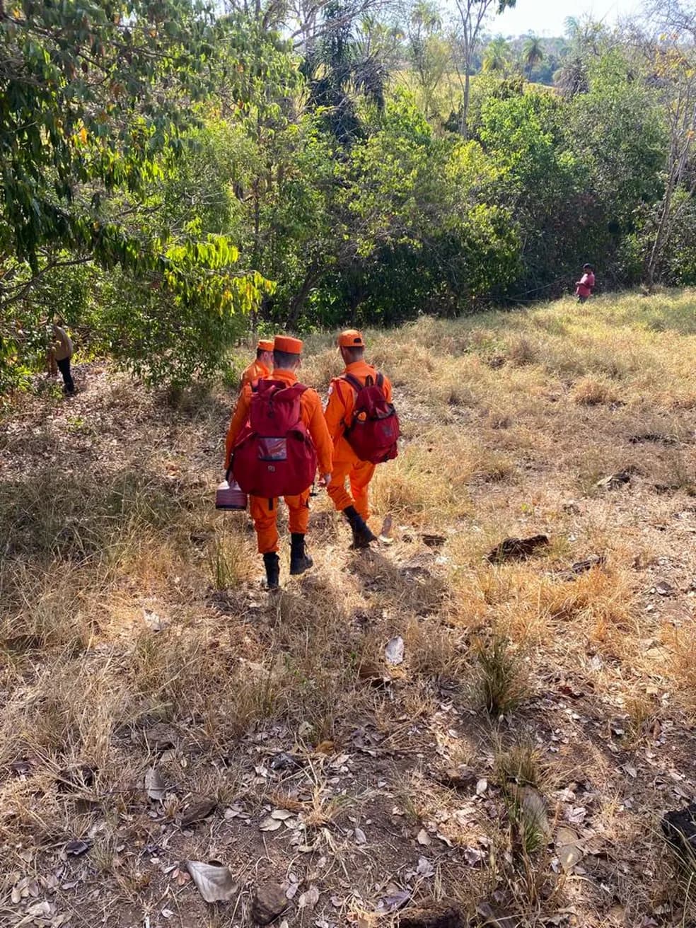 Vaqueiro encontra corpo de idoso em Colinas do Tocantins