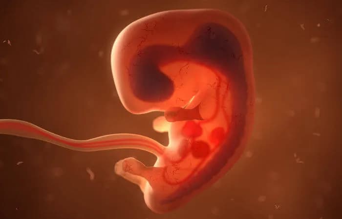 Deputados conservadores apresentam novas propostas para dificultar o aborto legal; confira