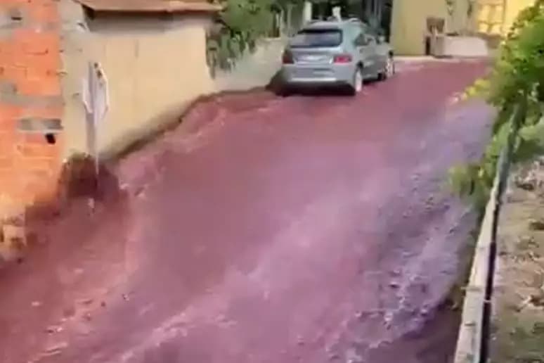 VÍDEO: &#8220;Rio&#8221; de vinho inunda ruas de cidade em Portugal após vazamento