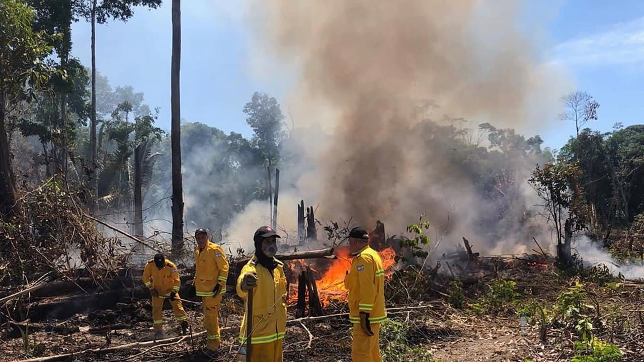 Força Nacional é autorizada a combater incêndios no sul do Amazonas