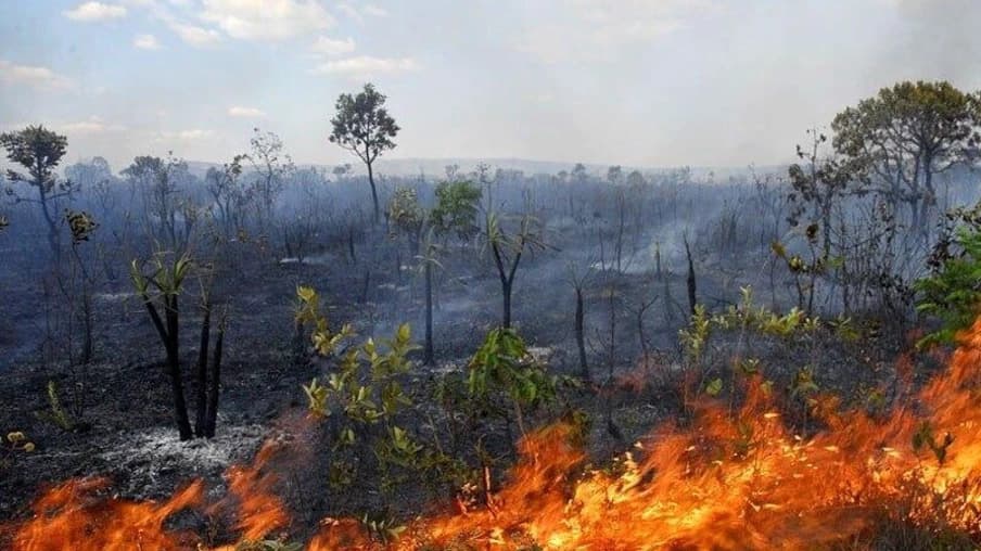 Roraima apresenta alta de queimadas, com 194 focos registrados em setembro