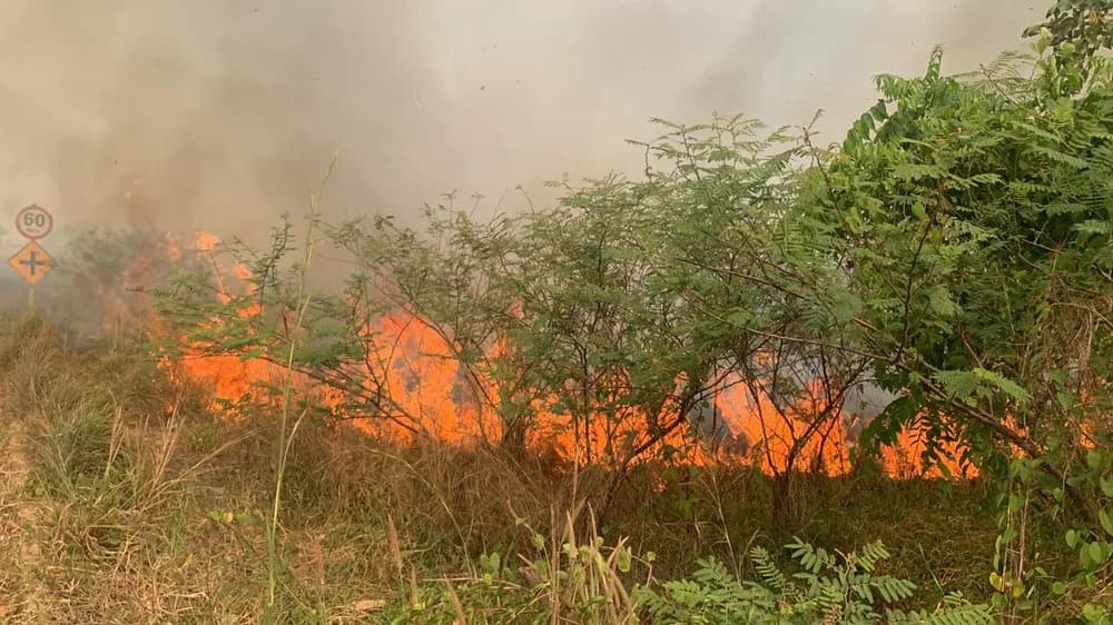 Manaus volta a ficar coberta de fumaça, e AM registra mais de 200 focos de queimadas em um dia