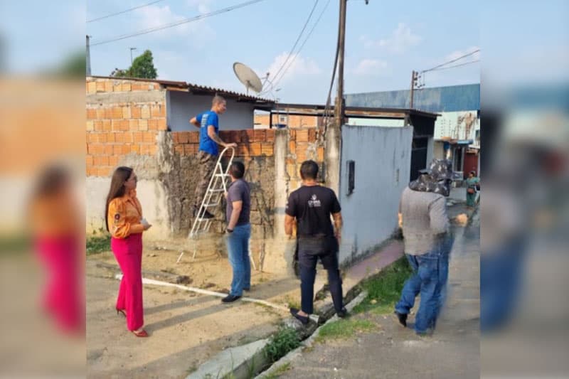 Cadelas são resgatadas em situação de maus-tratos e abandono no Tarumã, em Manaus
