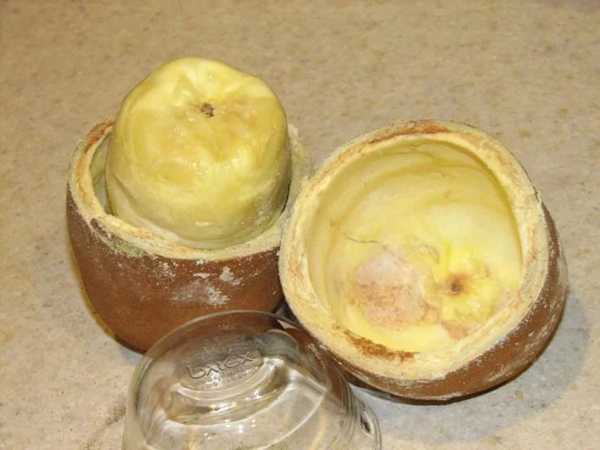 Cupuaçu é declarado &#8220;fruta domesticada&#8221; por pesquisadores