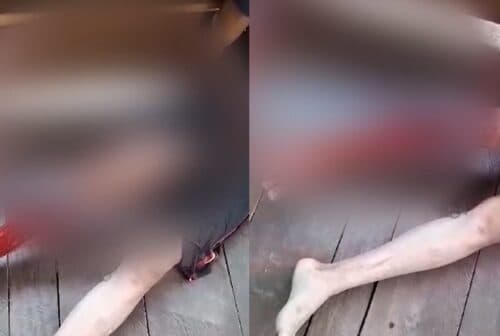 VÍDEO: Homem quase tem perna arrancada por jacaré, no AM