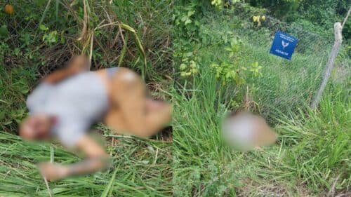 VÍDEOS: Corpo de motorista desaparecido é encontrado em mata de Manaus