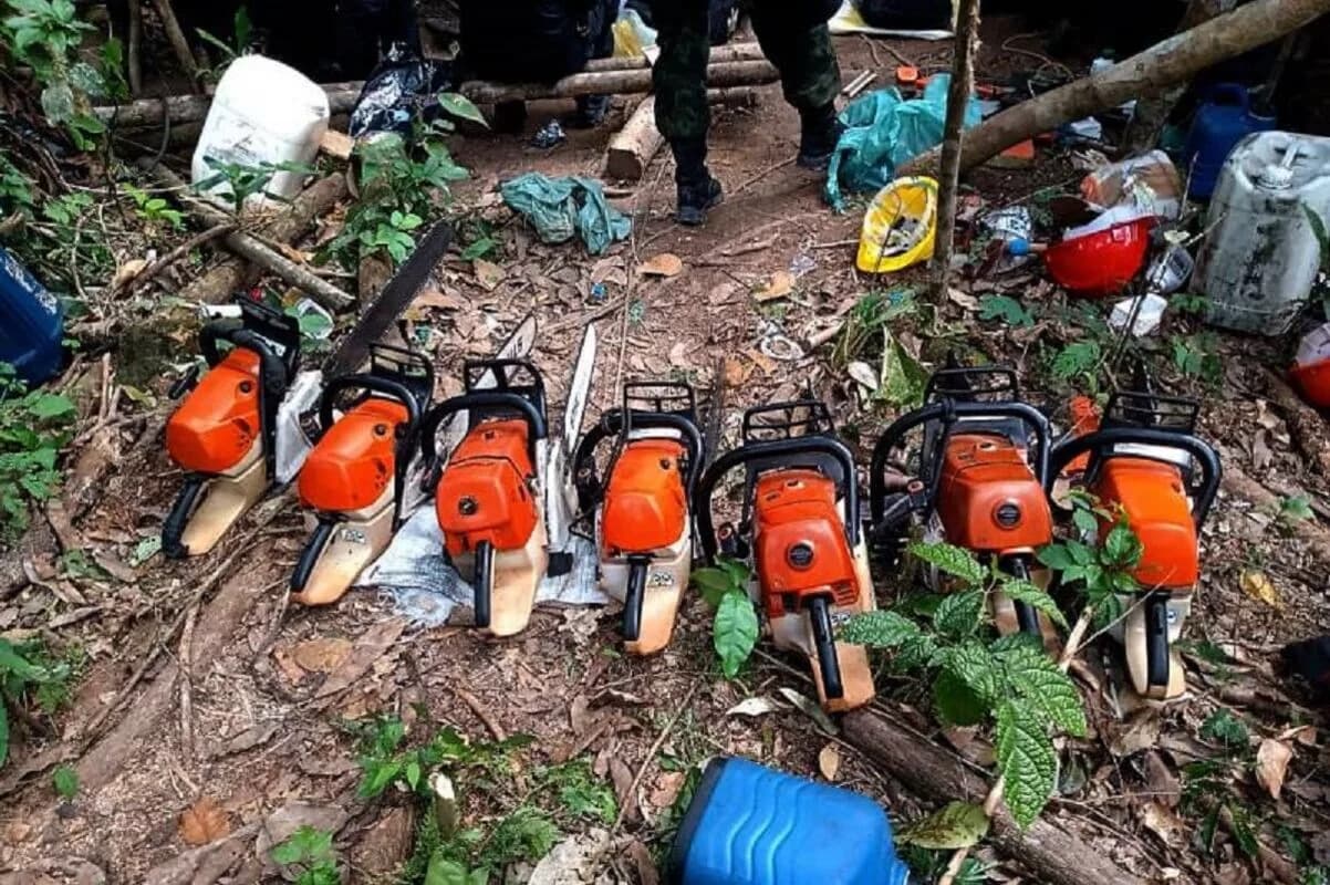 &#8220;Bota pra derreter&#8221;: Maior devastador da Amazônia usava a filha e advogada para crimes ambientais