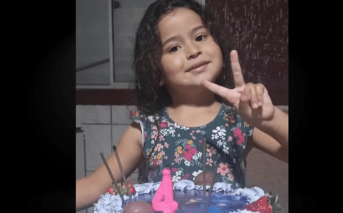 Criança de 4 anos escorrega de pedra, cai no rio e some, em Santa Catarina
