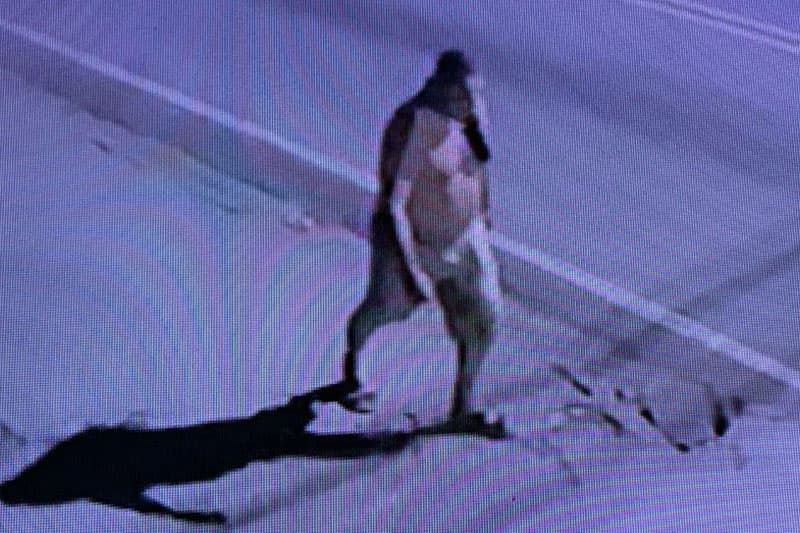 VÍDEO EXCLUSIVO: Assassino de vigilante segue foragido cinco meses após o crime em Manaus