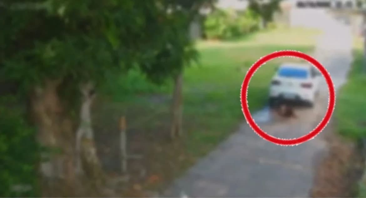 VÍDEO: Criança deitada na rua é atropelada por carro e sai ilesa