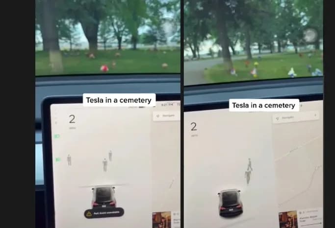 VÍDEO: Câmera de carro Tesla detecta &#8220;fantasmas&#8221; durante passeio em cemitério