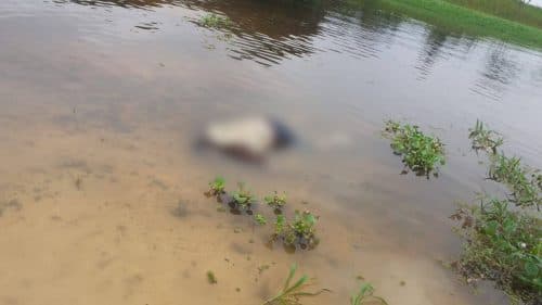 VÍDEO: Pescador encontra corpo &#8216;boiando&#8217; em rio, no interior do AM