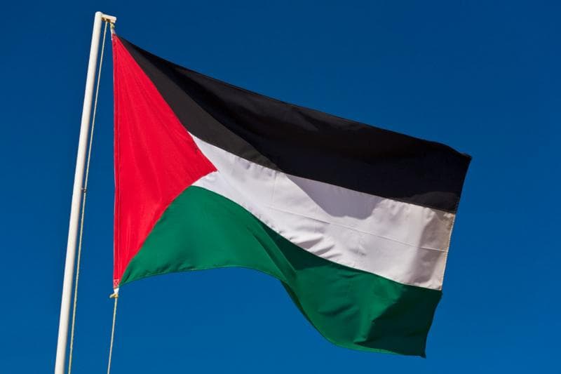 Conselho da ONU discute adesão da Palestina à organização