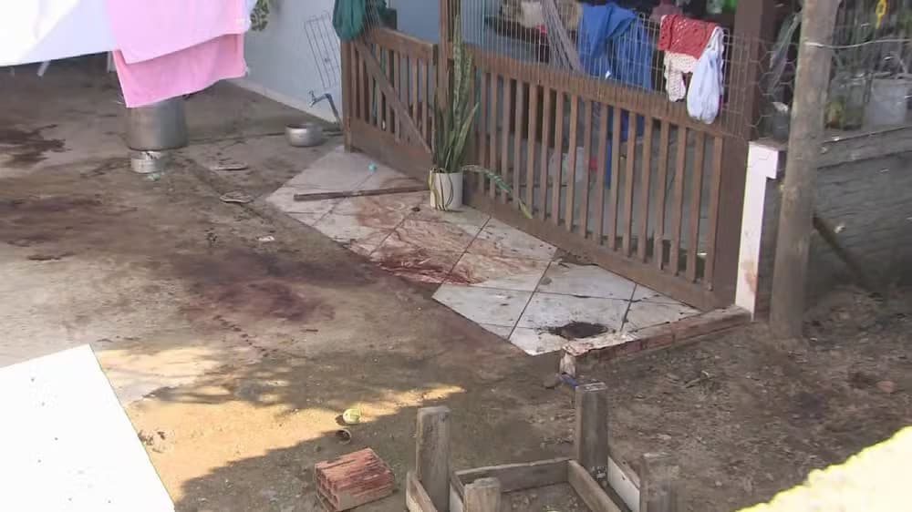 Homem morre em quintal de casa ao ser atacado por 4 pitbulls, em Florianópolis