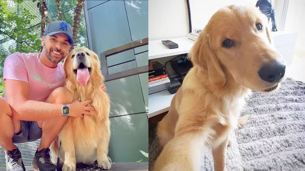 Caso cão Joca: Defensoria aciona Gol pedindo R$ 10 milhões por danos morais