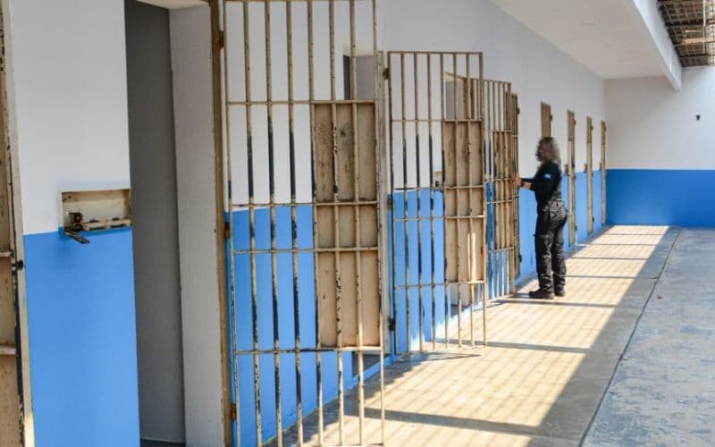 CNJ prepara pente-fino em processos após a descriminalização do porte de maconha pelo STF