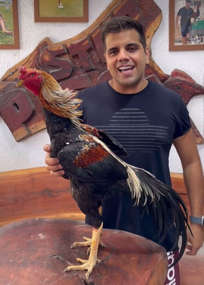 Influenciador &#8220;Pisca&#8221; é preso na Paraíba acusado de organizar rinhas de galos em Manaus e ameaçar deputada
