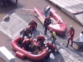 VÍDEO: Cavalo &#8220;Caramelo&#8221; é resgatado com sucesso de telhado em Canoas