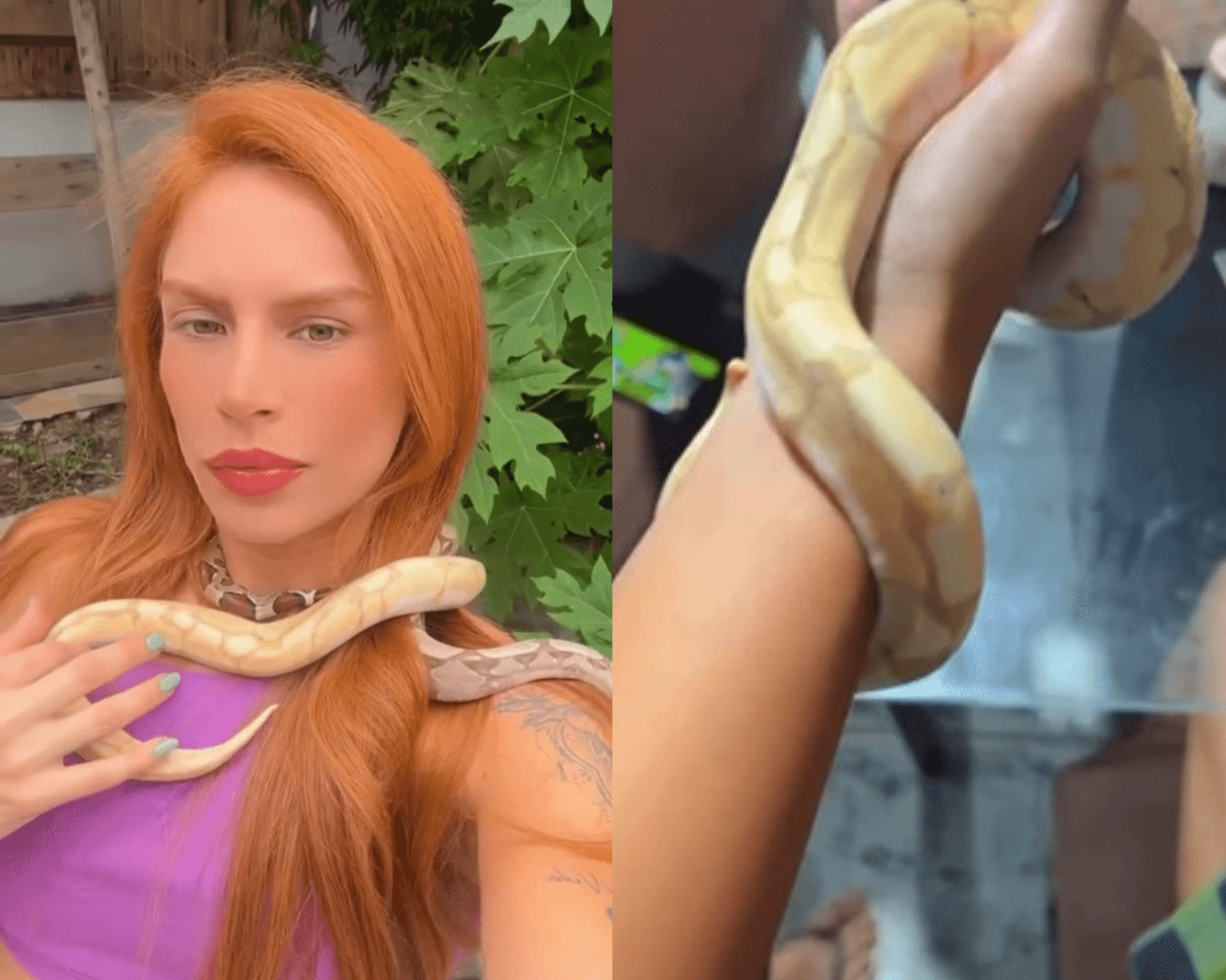VÍDEO: Crianças da família de Djidja Cardoso brincavam com cobras usadas em rituais de &#8220;seita&#8221;