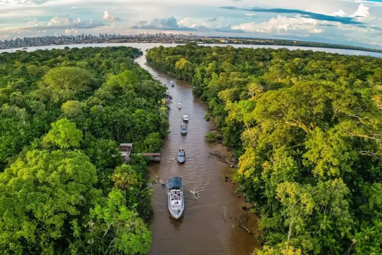 Edital do governo direciona R$ 450 milhões para restauração ecológica da Amazônia