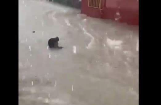 Homem se diverte ao ser arrastado por correnteza durante temporal em Manaus
