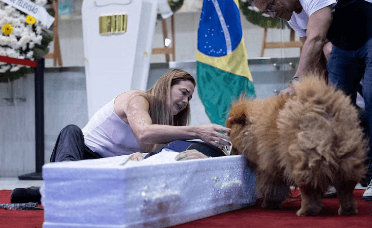 Caixão de cantor Nahim é colocado no chão para cachorros do cantor se despedirem
