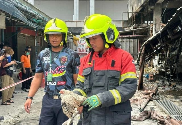 Mais de mil animais são mortos em incêndio na Tailândia