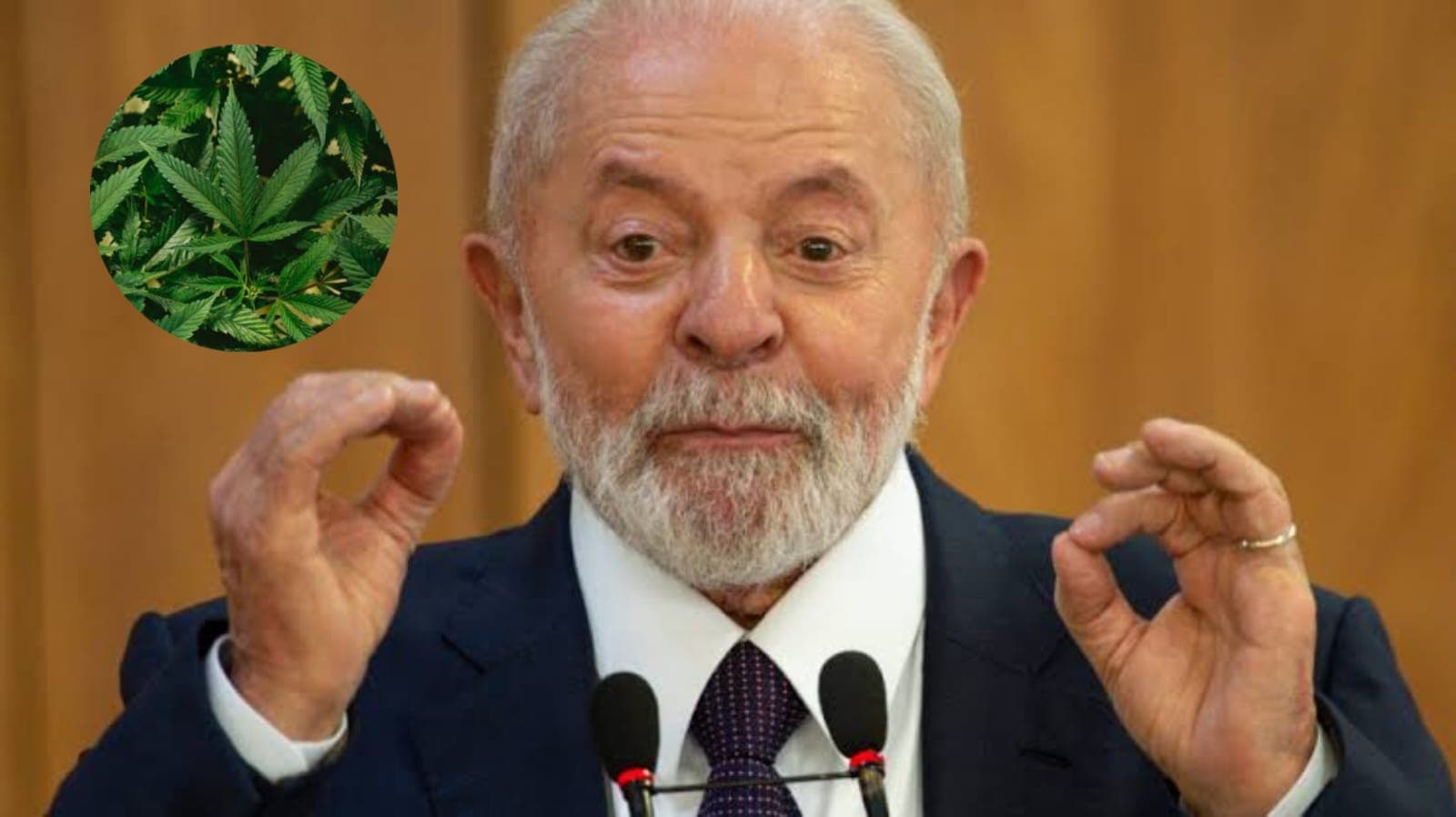 &#8220;Não é uma coisa de código penal, é coisa de saúde pública&#8221;, diz Lula sobre a descriminalização da maconha