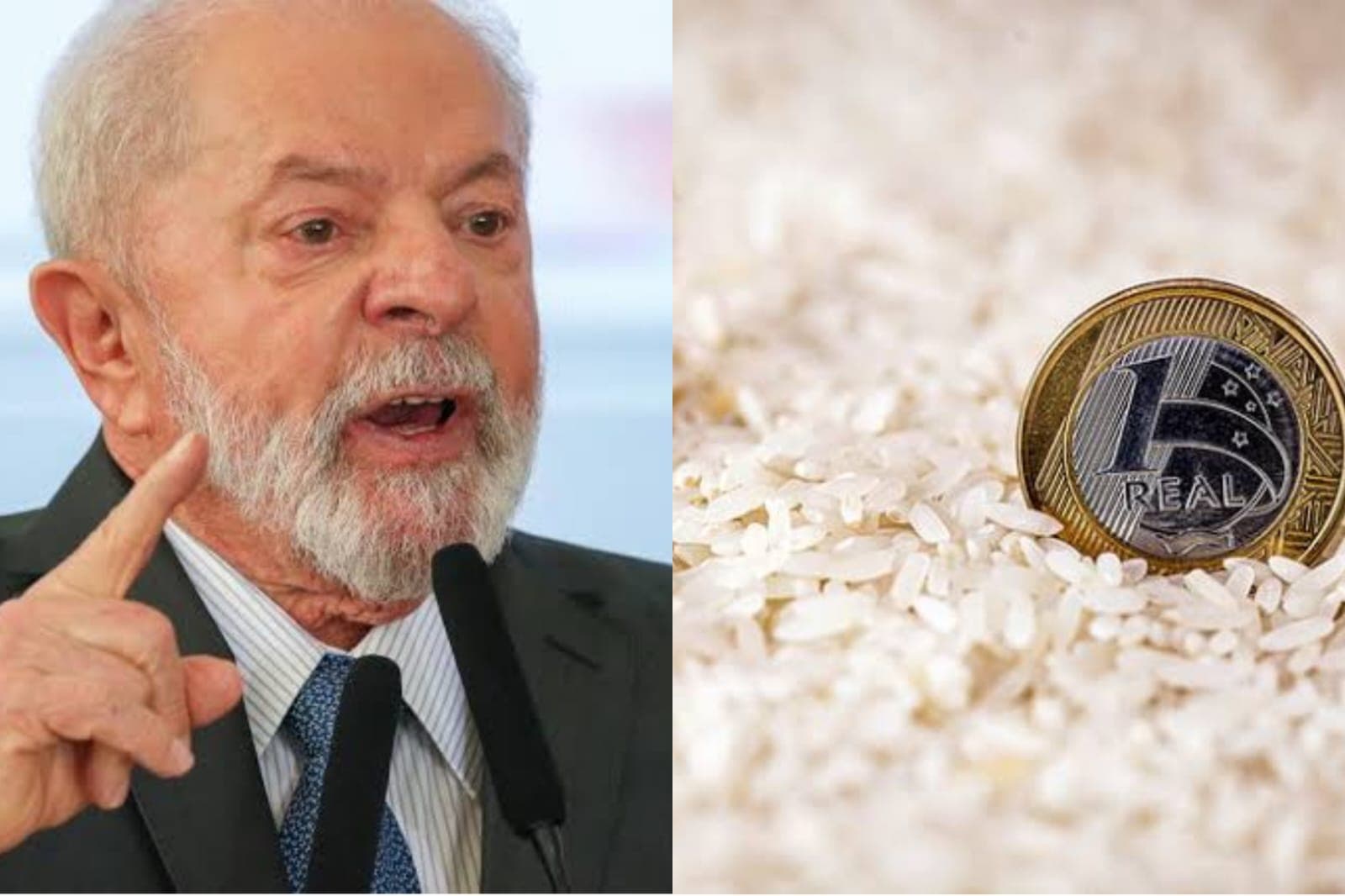 &#8220;Houve uma falcatrua numa empresa&#8221;, diz Lula sobre cancelamento de leilão internacional de arroz