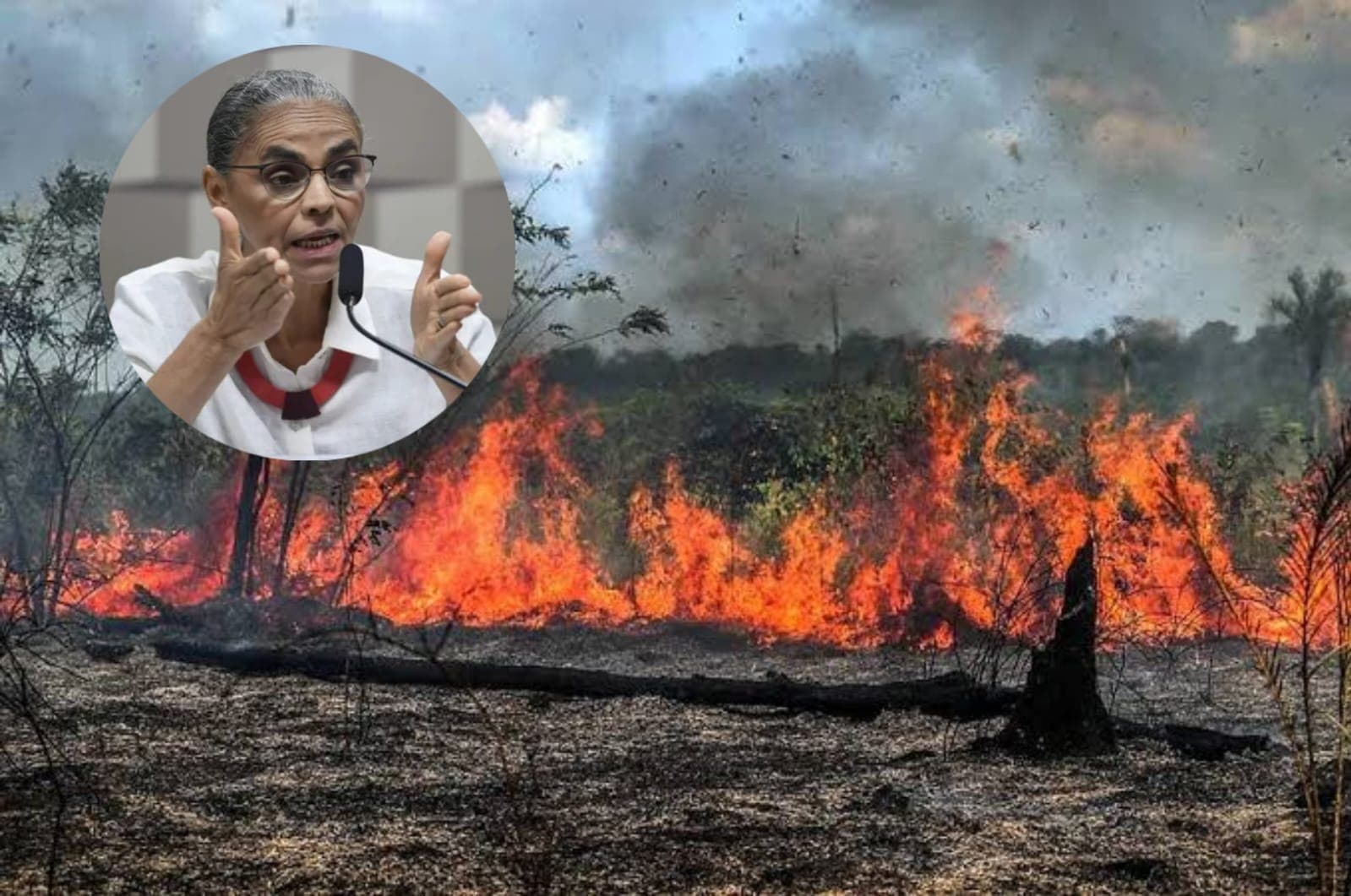 Governo proíbe &#8220;queimadas controladas&#8221; na Amazônia, Cerrado e Pantanal até o final do ano
