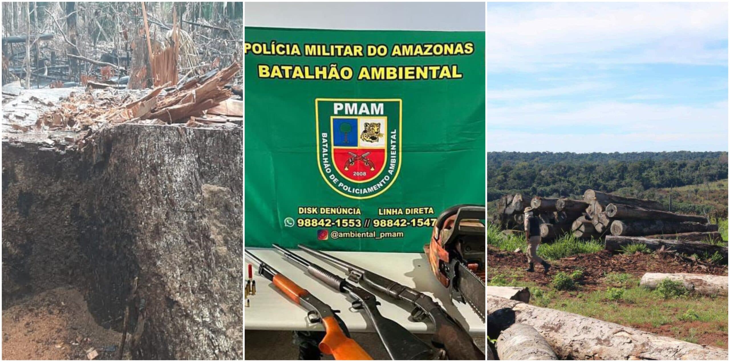 Operação aplica R$ 14 milhões em multas por crimes ambientais no Sul do Amazonas