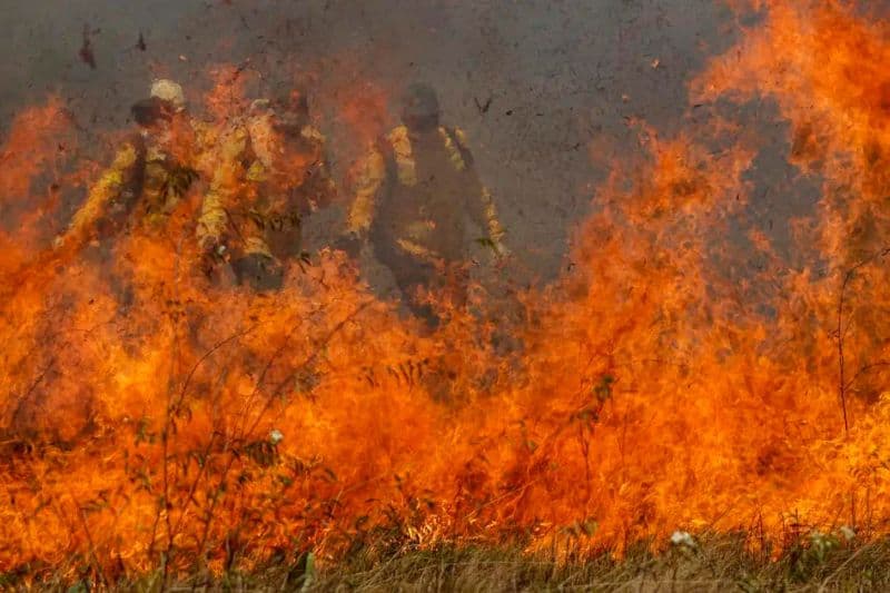 Lula assina MP destinando R$ 137,6 milhões para combate a incêndios no Pantanal